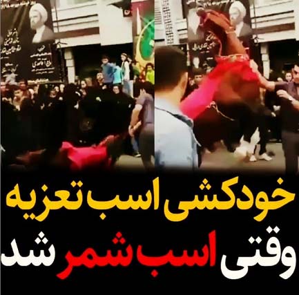 خودکشی اسب شمر