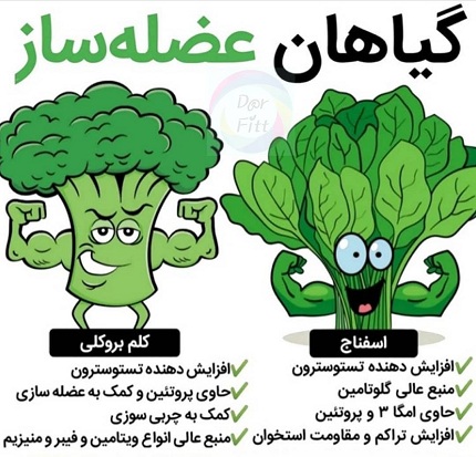 سبزیجات عضله ساز