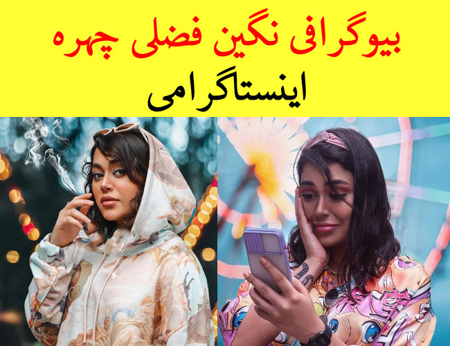 بیوگرافی نگین فضلی چهره اینستاگرامی