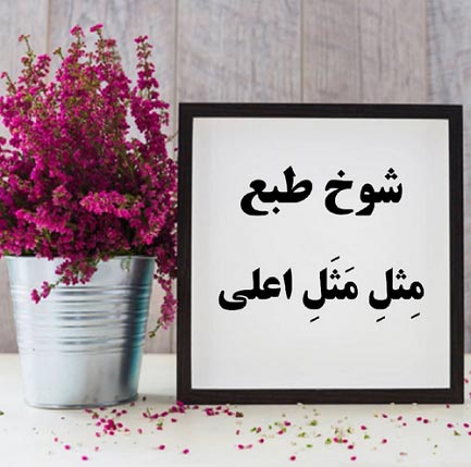 چگونه شوخ طبع و بامزه باشیم